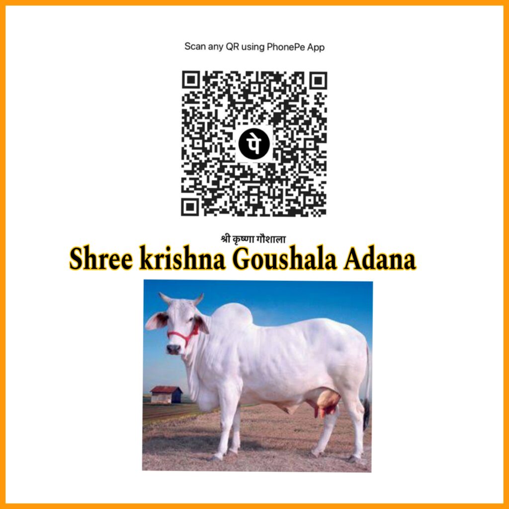 Picsart_24-08-01_08-54-48-102